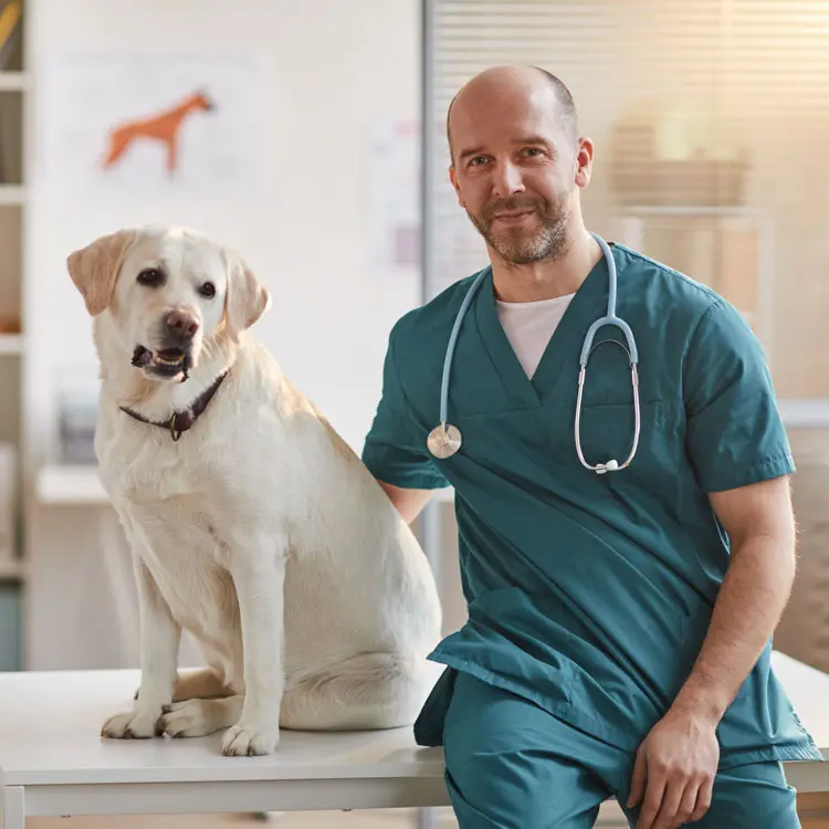 Santévet, assurance animaux